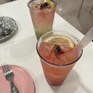 틴틴 사진