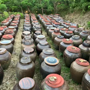 소나무집 사진