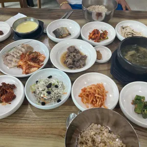벽오동 사진