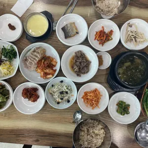 벽오동 사진