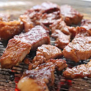 통고기로 사진