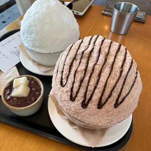 눈솜 사진