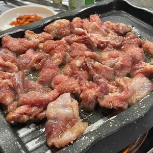 거시기 사진