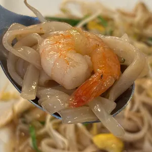 포메인 사진