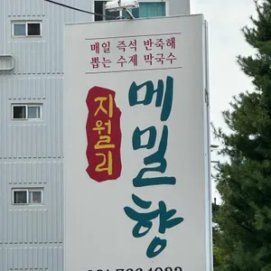 지월리 메밀향 리뷰 사진