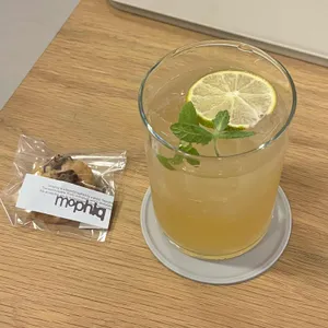 모피크 사진