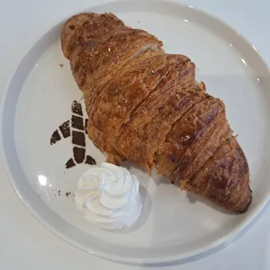 파네룬 사진