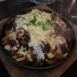 닭날다 사진