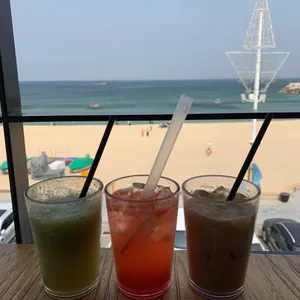 보사노바 사진