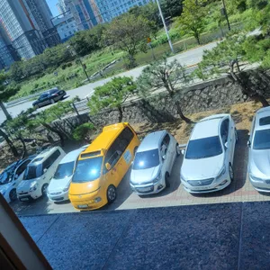 샤브향 리뷰 사진
