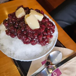 동빙고 사진