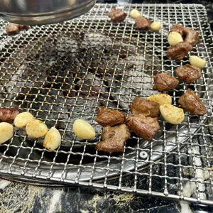 황소고집 사진