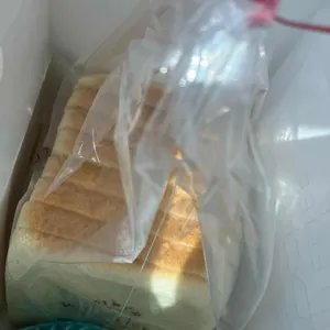 화이트리에 사진
