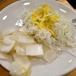 황금코다리 사진