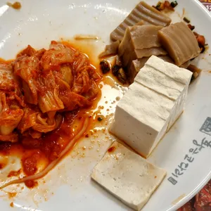 황금코다리 사진