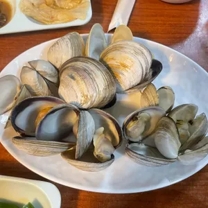 술사와 사진