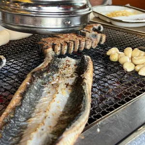 황토장어 사진