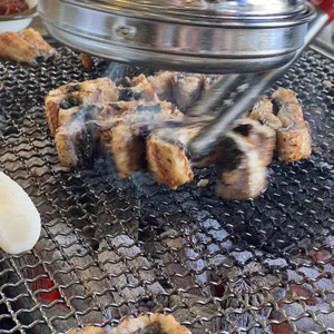 황토장어 사진