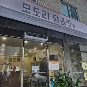 모도리닭곰탕 리뷰 사진