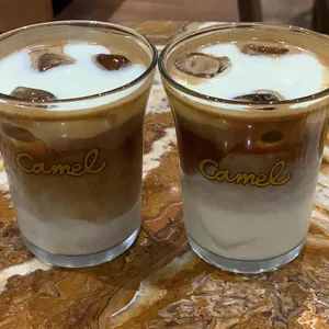 카멜 사진