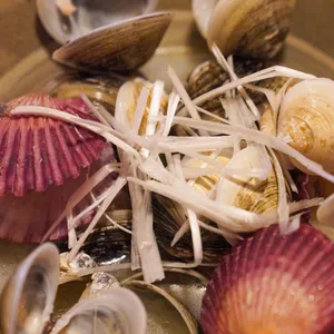 아키노유키 사진