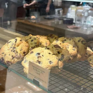 커피 스니퍼 사진