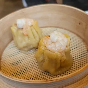 슈엔 사진