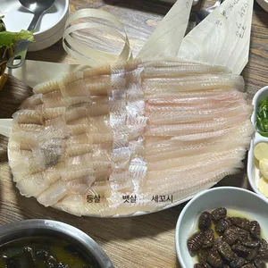 새총횟집 사진