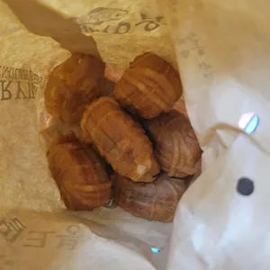 보리원 사진