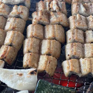 장어학교 사진