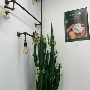 러비트 리뷰 사진