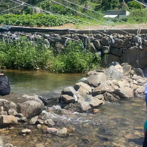 참숯불에 꾸운닭 앤 꿈장어 리뷰 사진