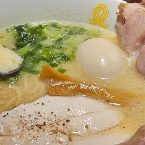 멘지 사진