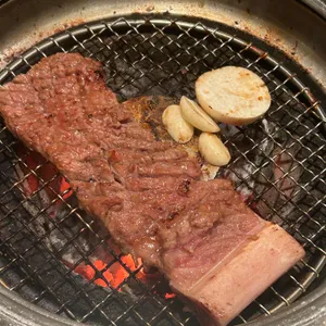 송도갈매기 사진