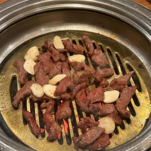 송도갈매기 사진