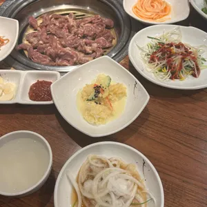 송도갈매기 사진