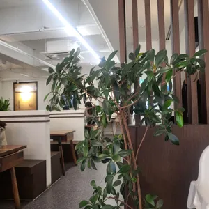 바람난 얼큰 짬뽕 수제비 리뷰 사진
