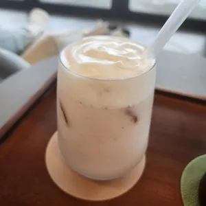 코우코알라 사진