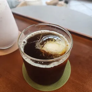 코우코알라 사진