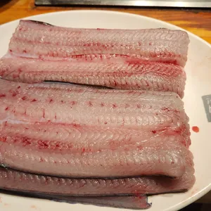 갈릴리농원 사진