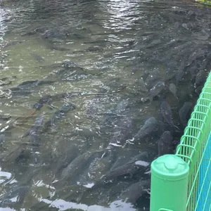강원수산 리뷰 사진