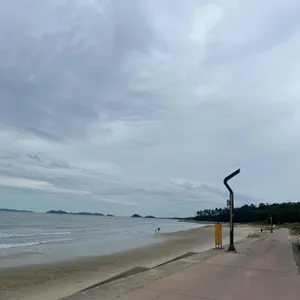카페 화 리뷰 사진
