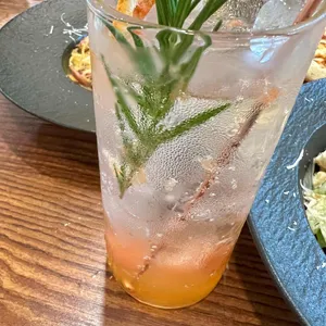 네이처티파니 사진