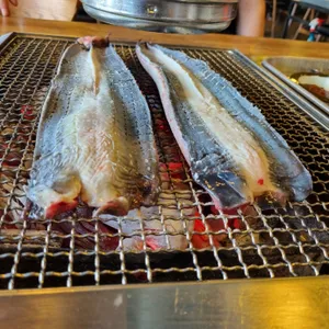 황토장어 사진