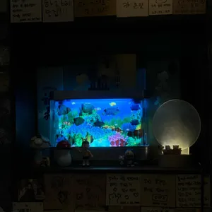 켄카 리뷰 사진