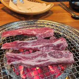 양한마리 사진