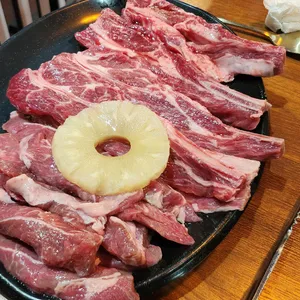 양한마리 사진