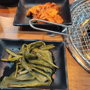 양한마리 사진