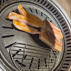 거북이동네 사진