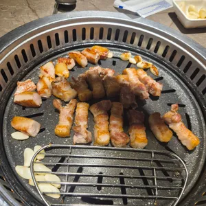 거북이동네 사진
